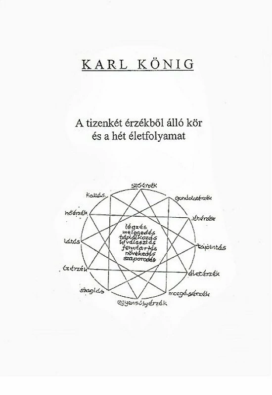 Karl König: A tizenkét érzékből álló kör és a hét életfolyamat